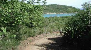 Salt Pond Bay Trail Salt Pond Bay Trail